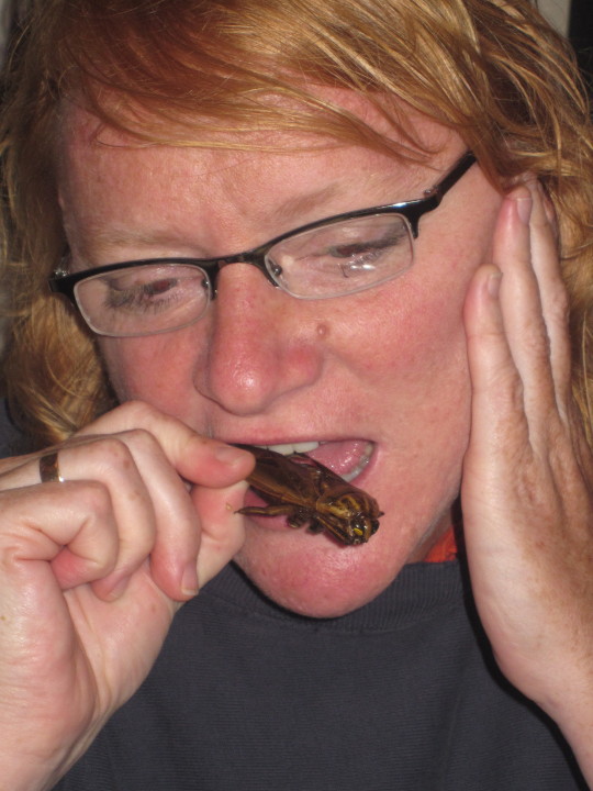 Emily on her journey eating traditional local Laotian fare.